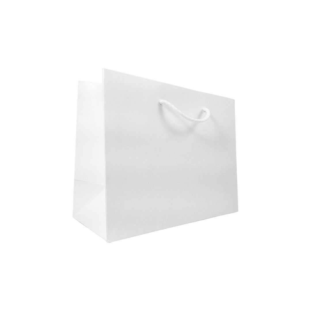 Download Matt Laminated Rope Handle Paper Bags, 25 cm wide | APL Packaging