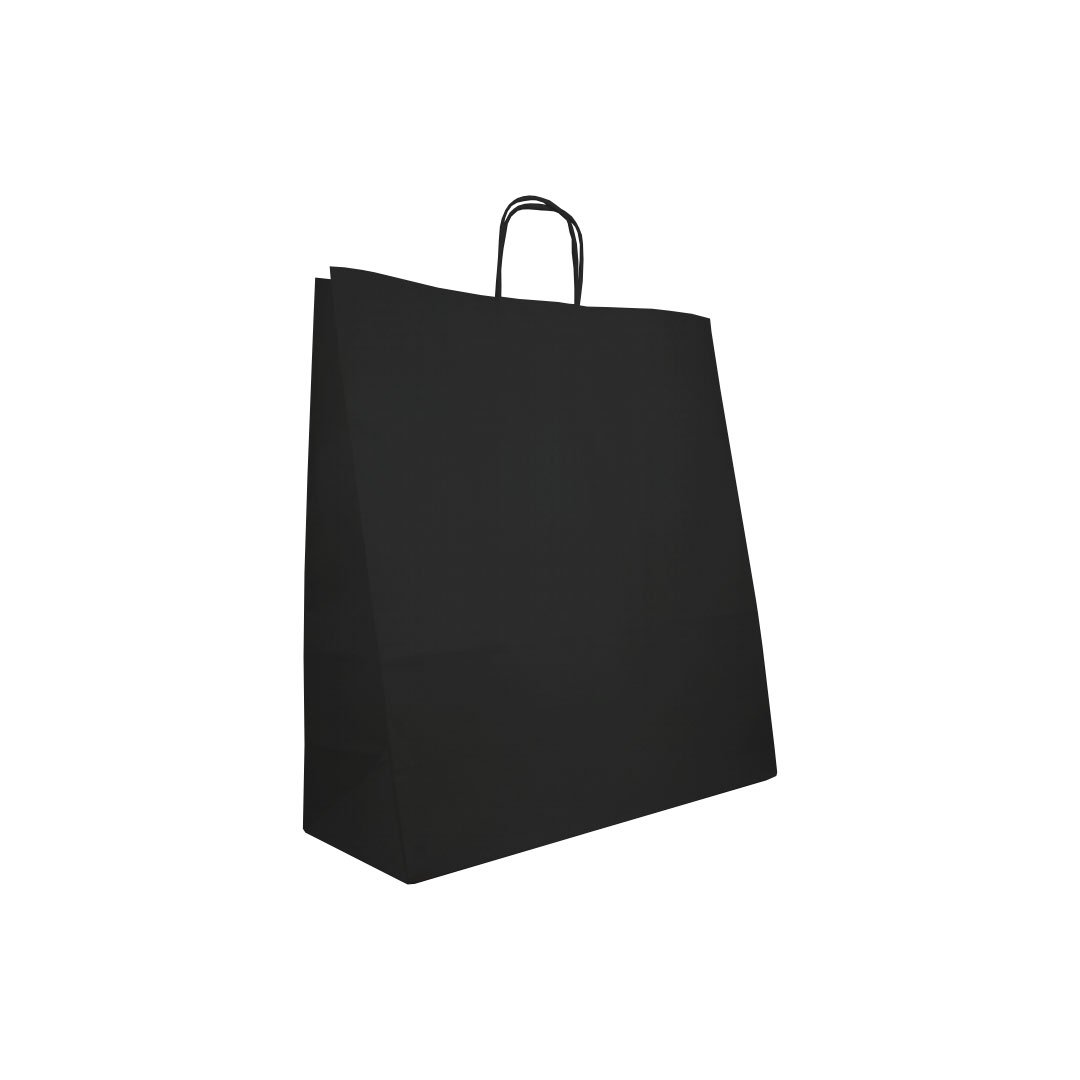Black Recycled #16 Paris Paper Twist Handle Bag | IUCN Water